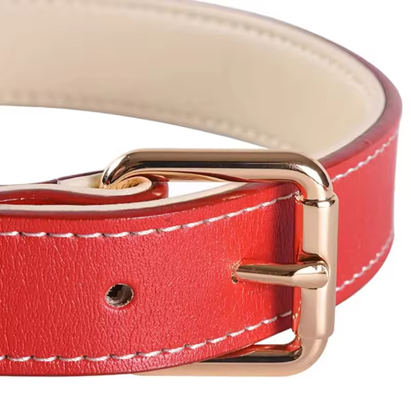 Red Dog Collar