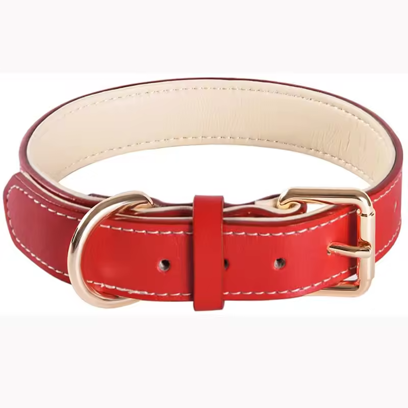 Red Dog Collar